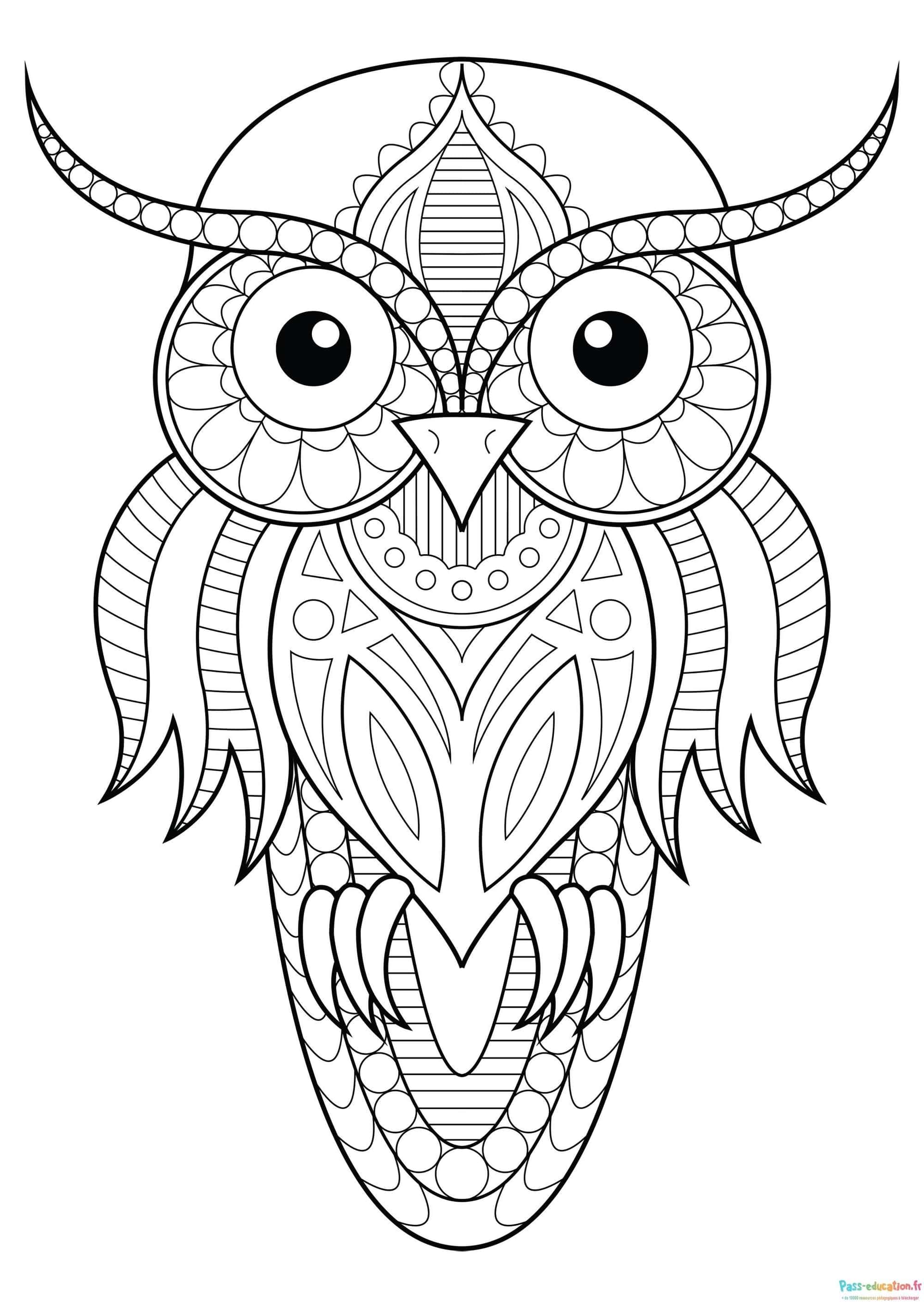 Hibou mandala