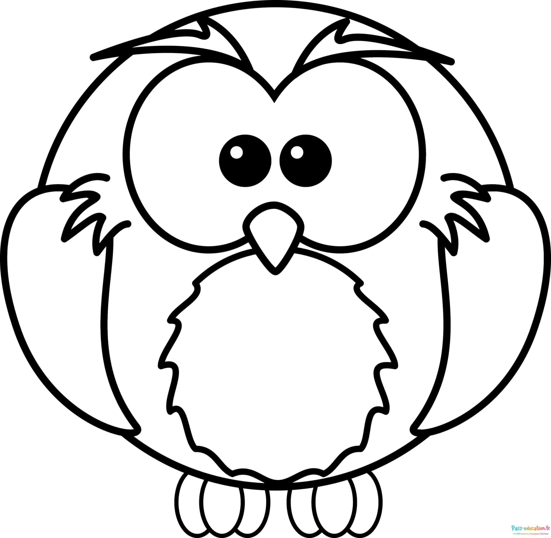 Hibou mignon