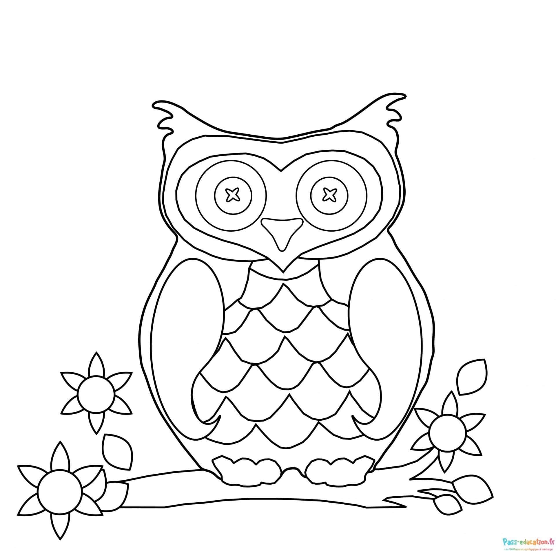 Hibou sur branche