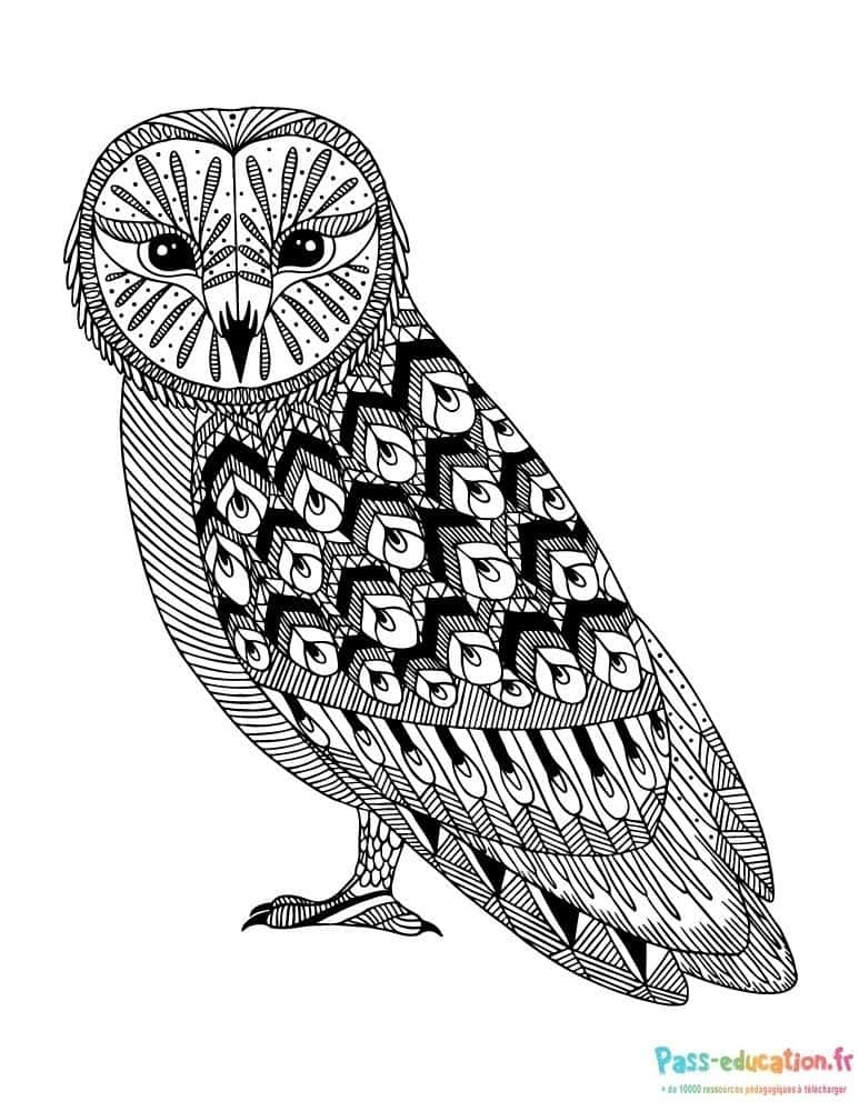 Hibou stylisé