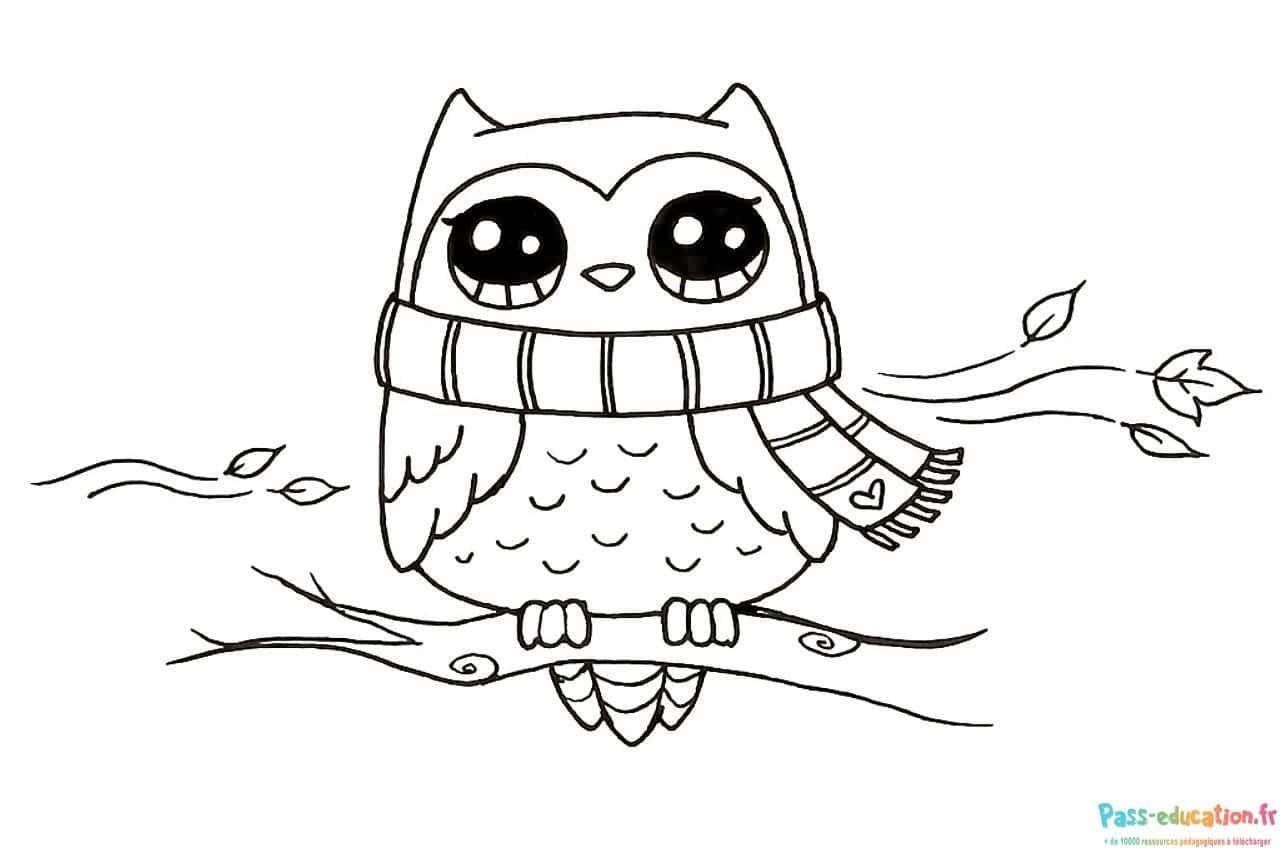 Hibou heureux