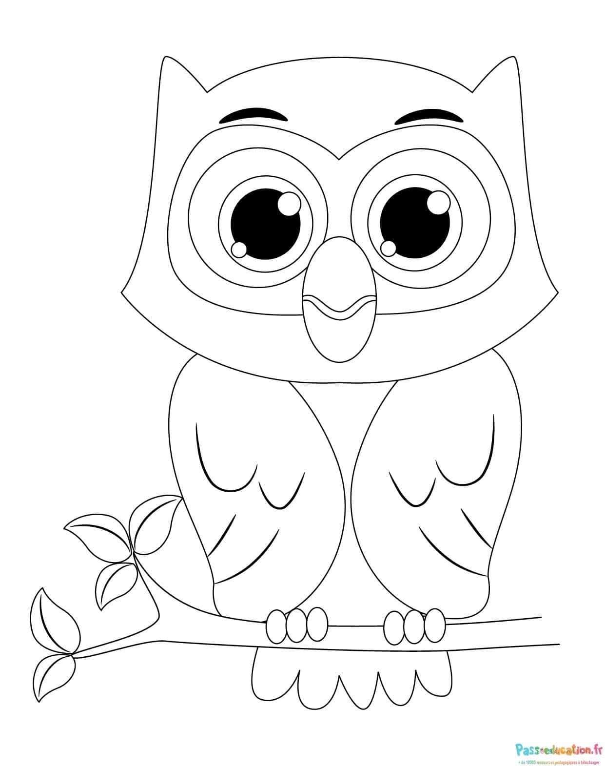 Hibou mignon