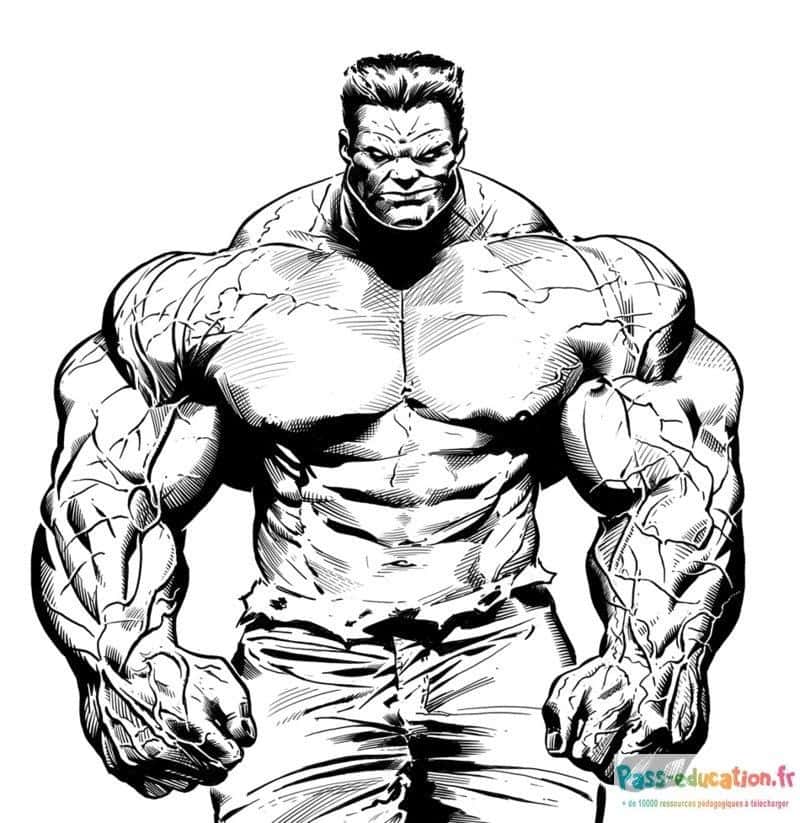 Hulk musclé