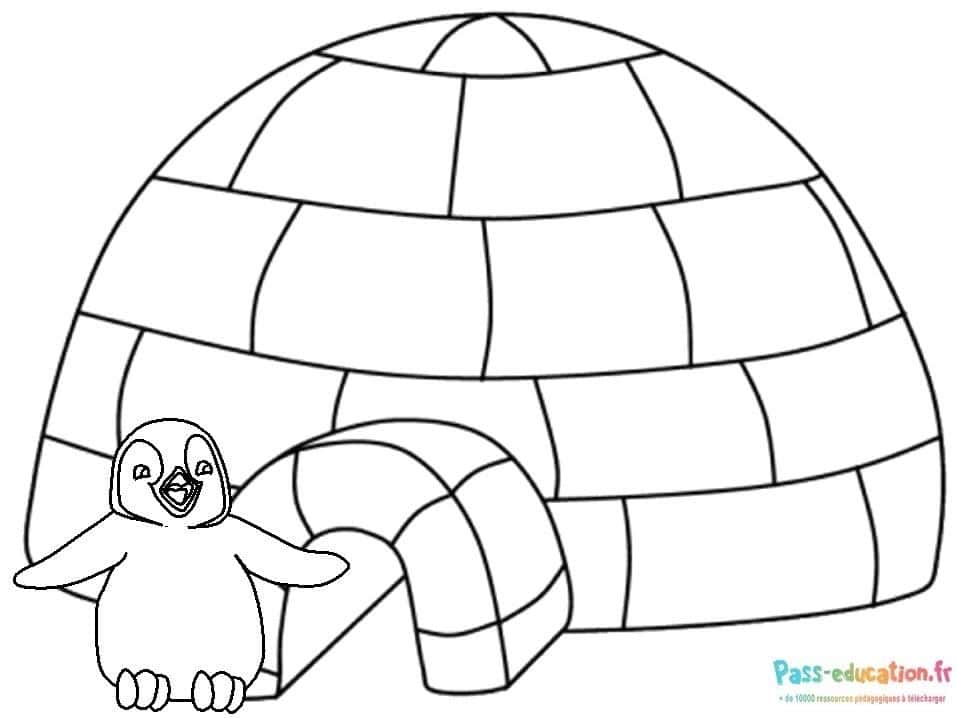 Igloo et pingouin