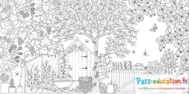 Jardin secret coloriage gratuit à imprimer