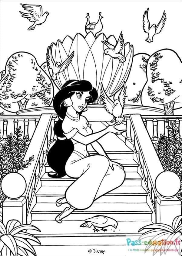 Jasmine et pigeons