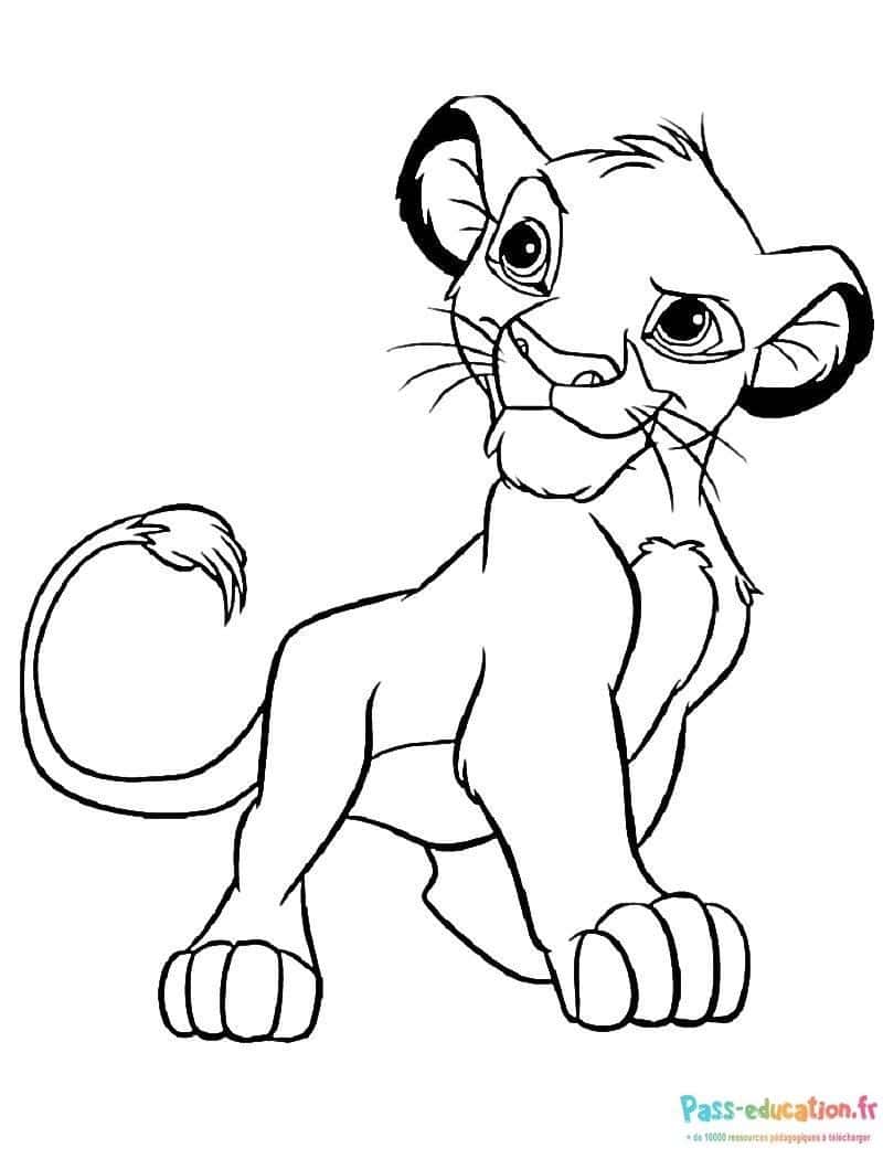 Jeune lion