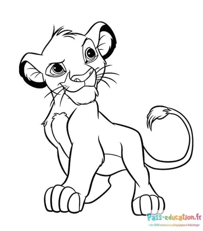 Jeune lion