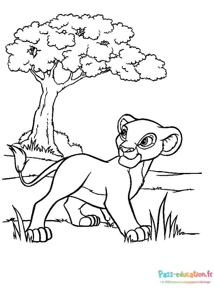 Jeune lion sous un arbre