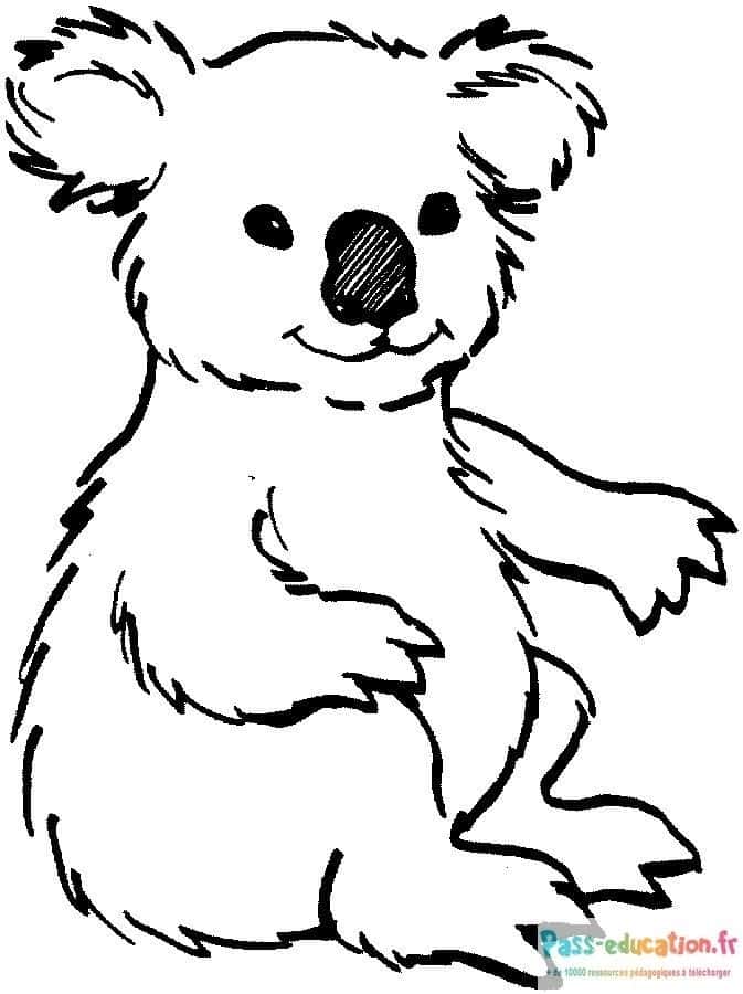 Dessin koala