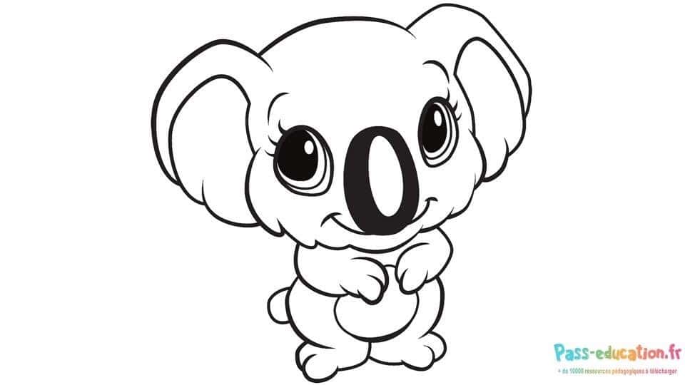 Dessin koala