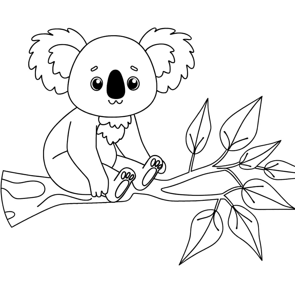 Bébé Koala