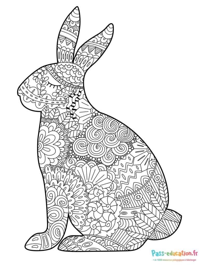 Lapin mandala