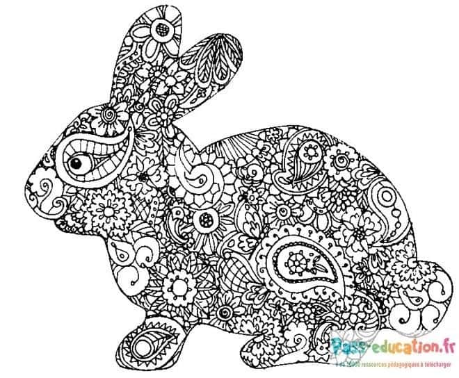 Lapin mandala