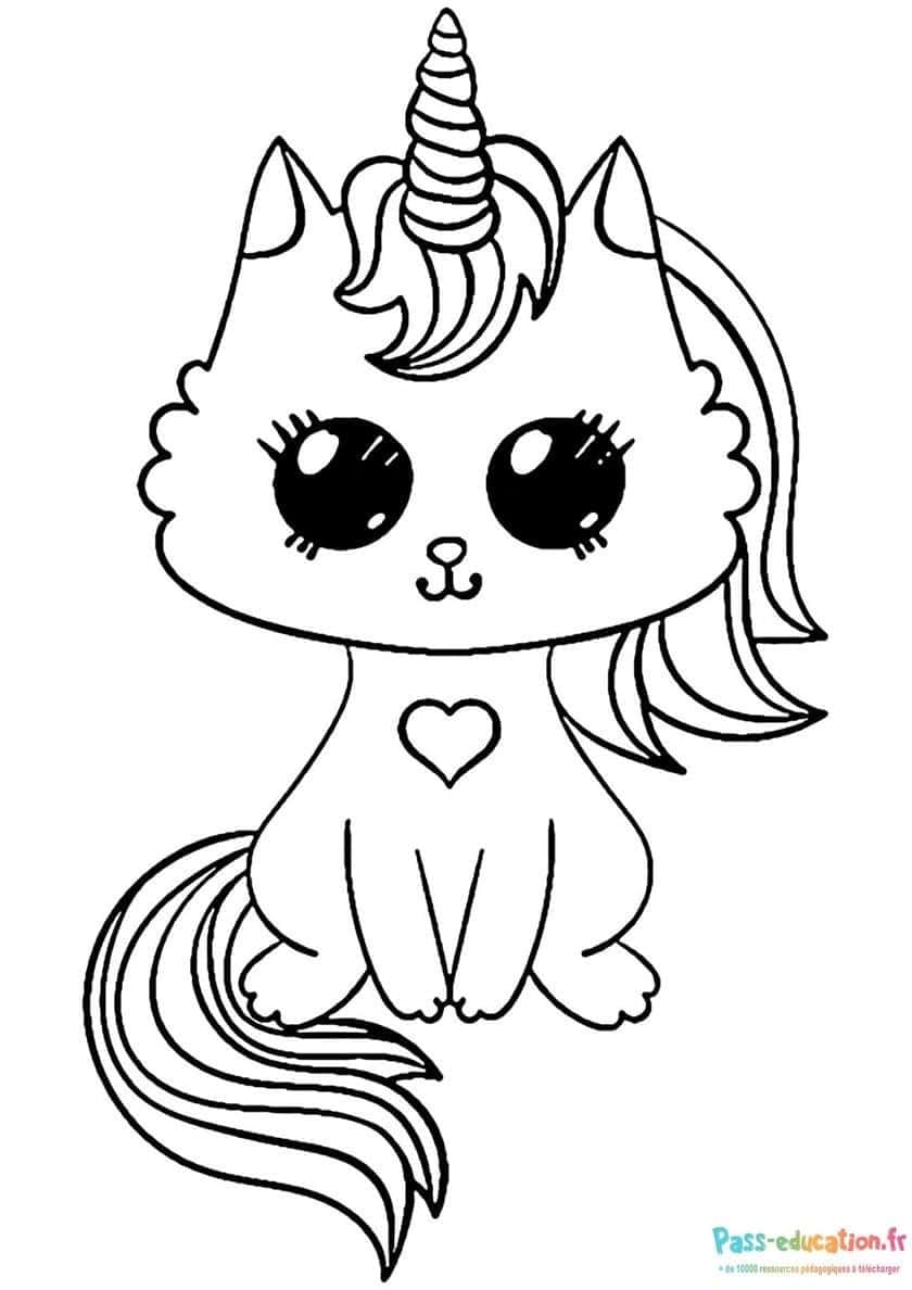 Licorne chaton