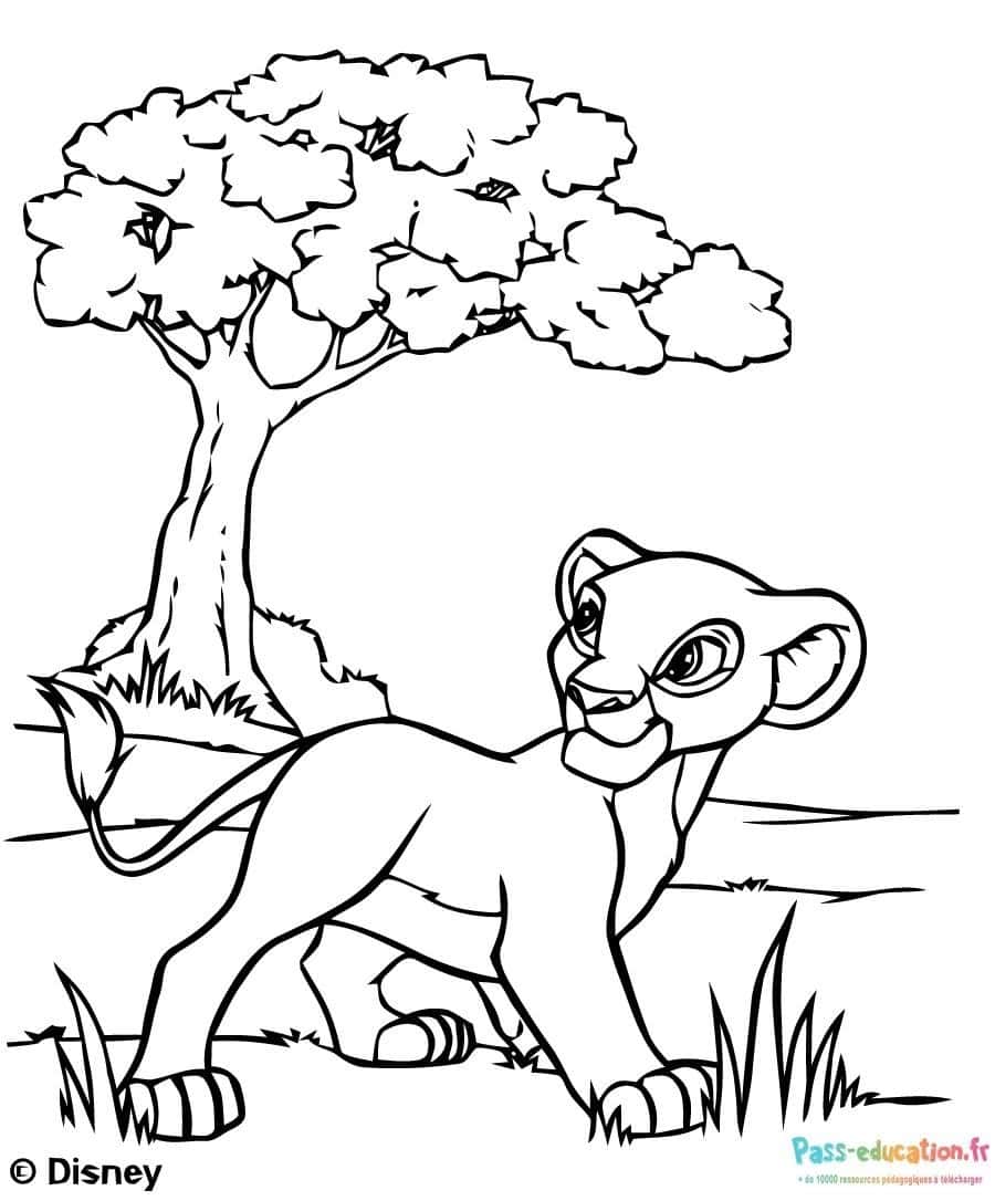 Lion sous arbre