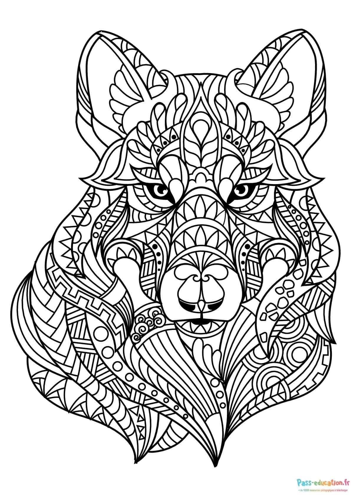 Loup mandala