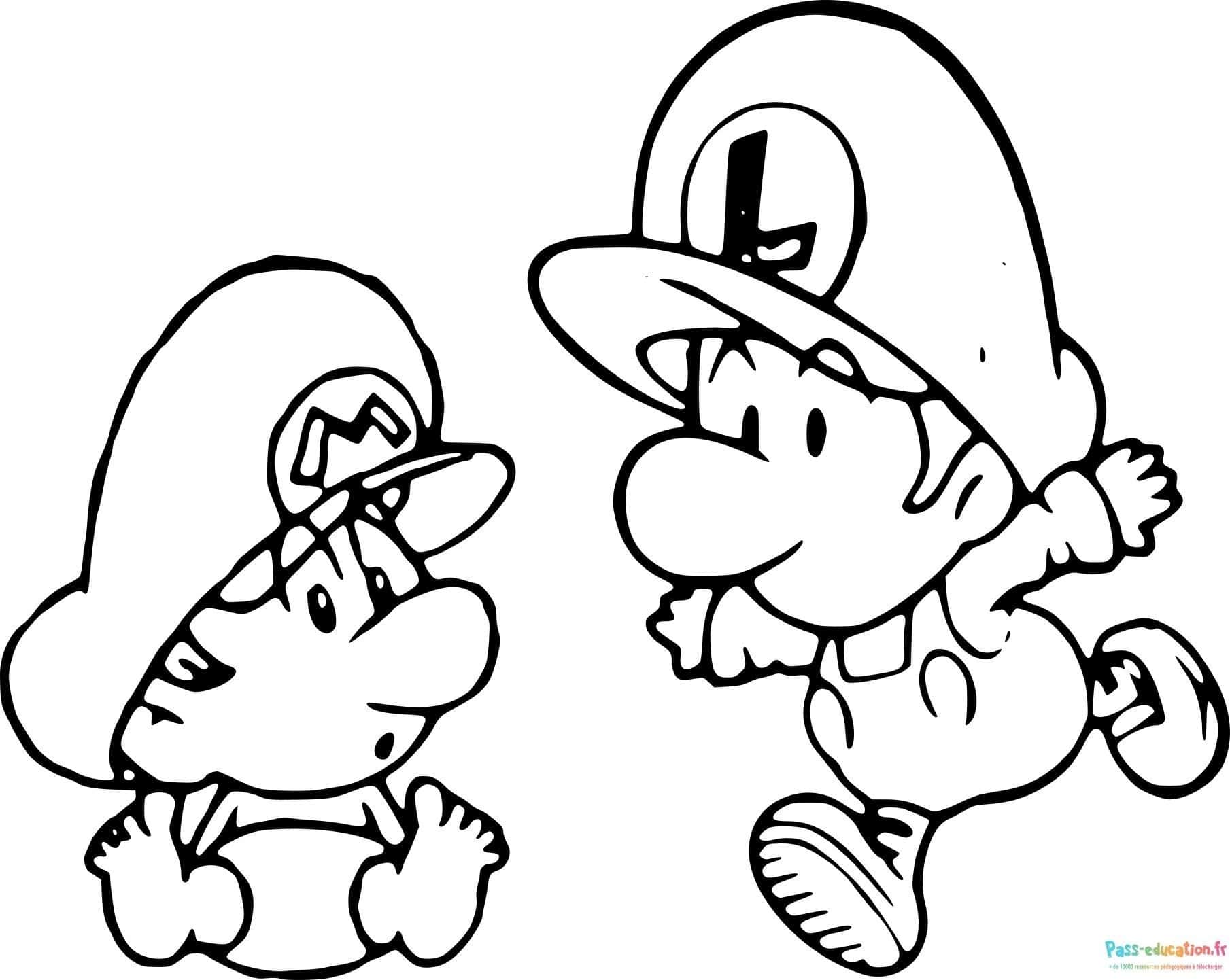 Luigi et bébé Luigi