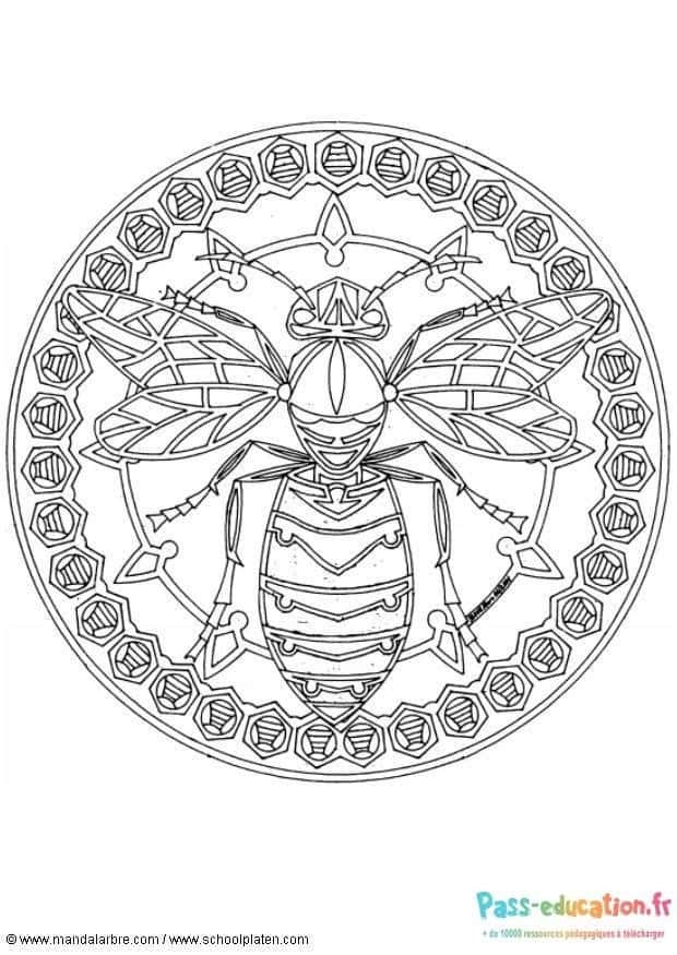 Mandala Abeille