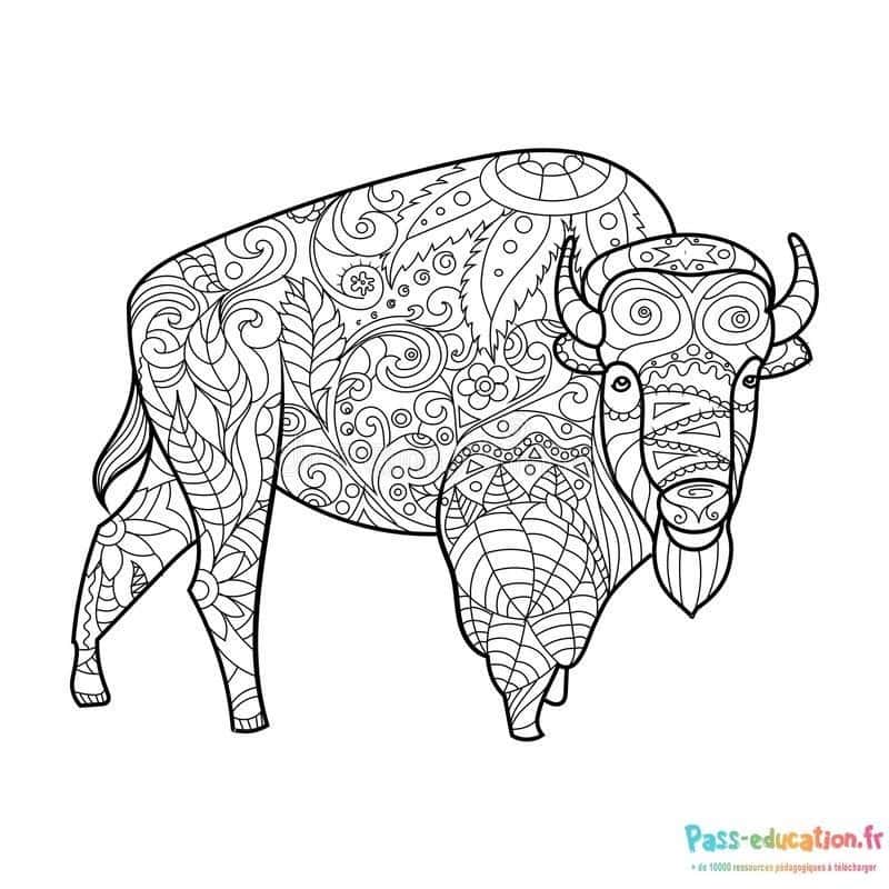 Bison mandala