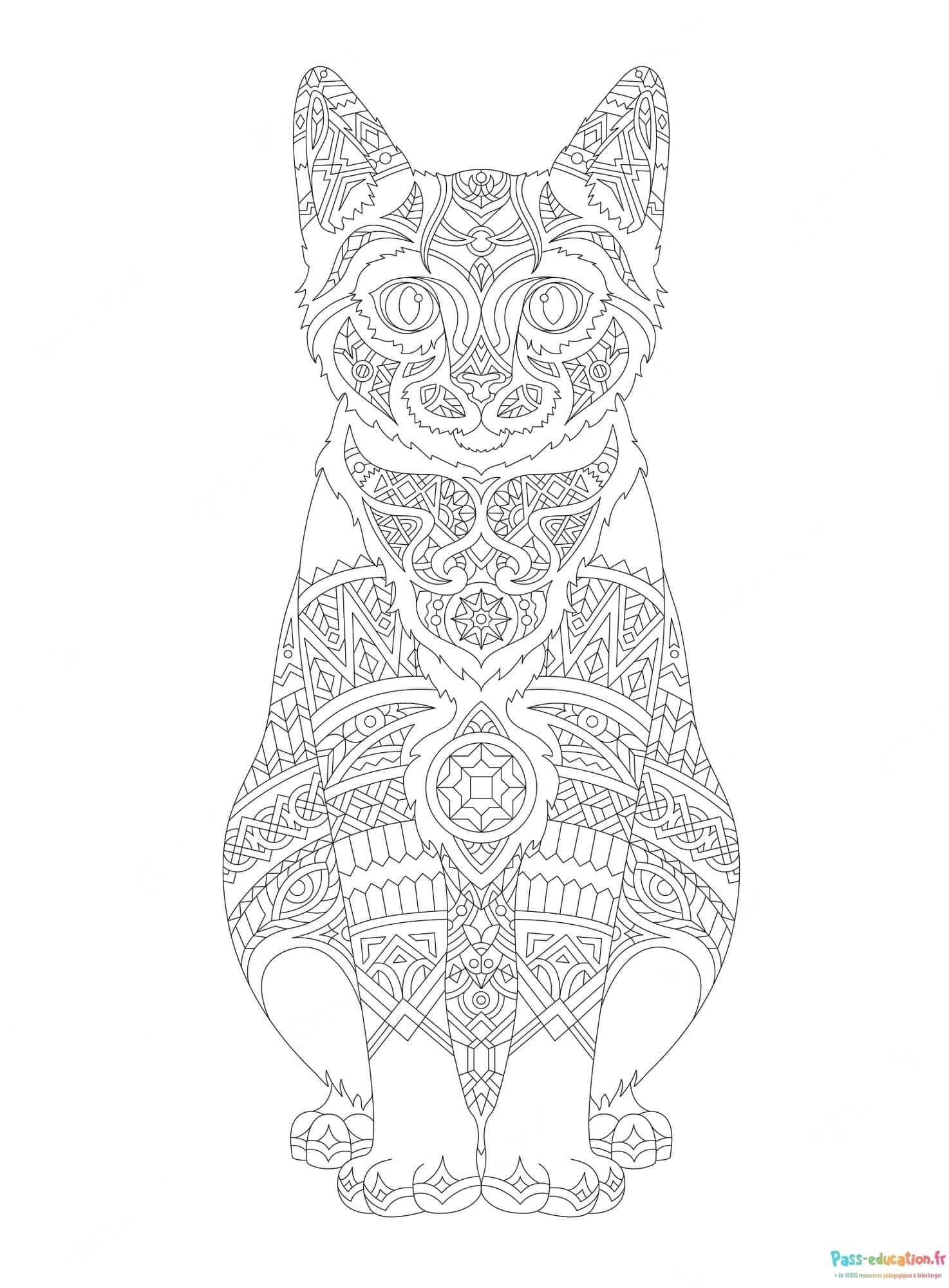 Chat mandala