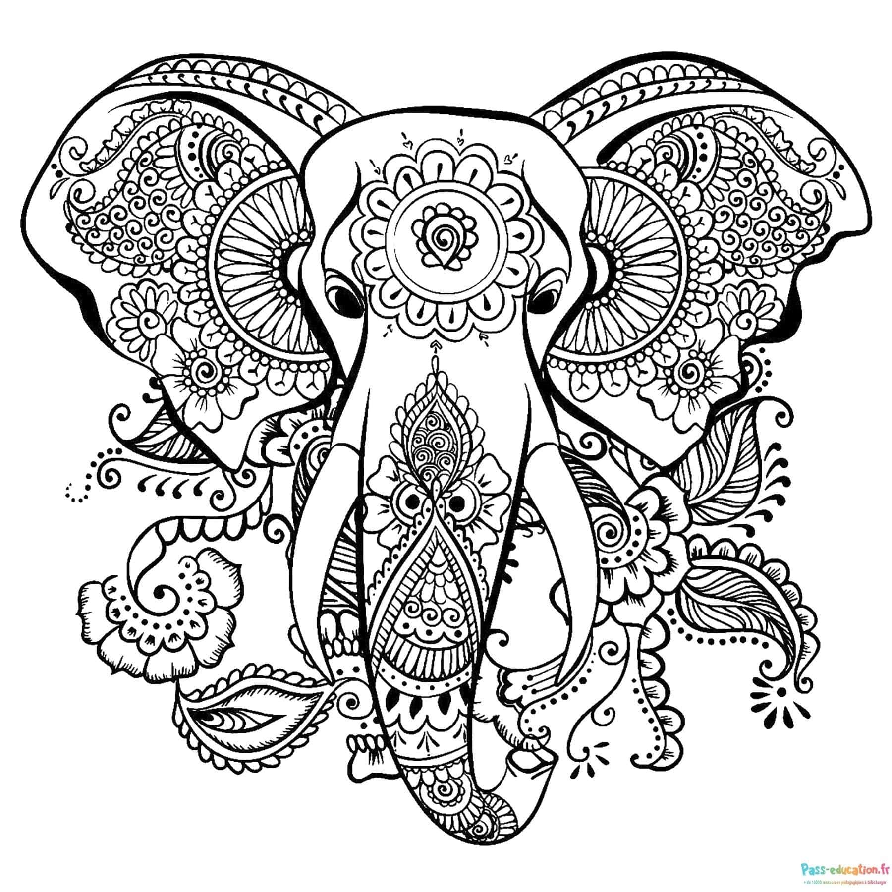 Éléphant Mandala