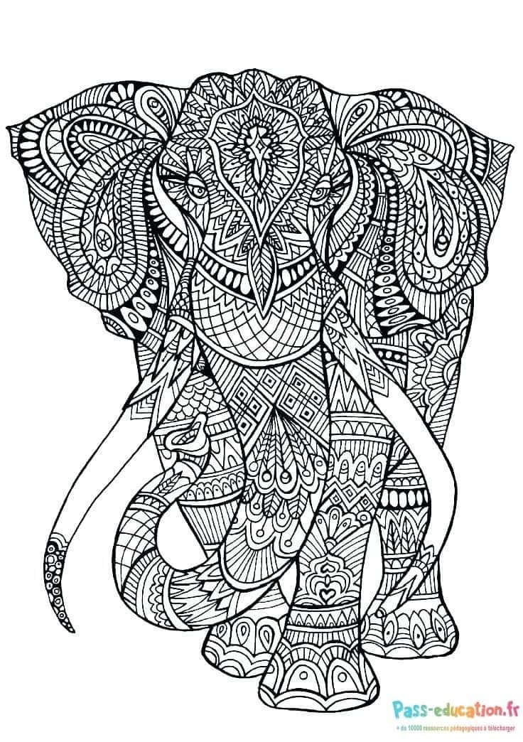 Ã‰léphant mandala