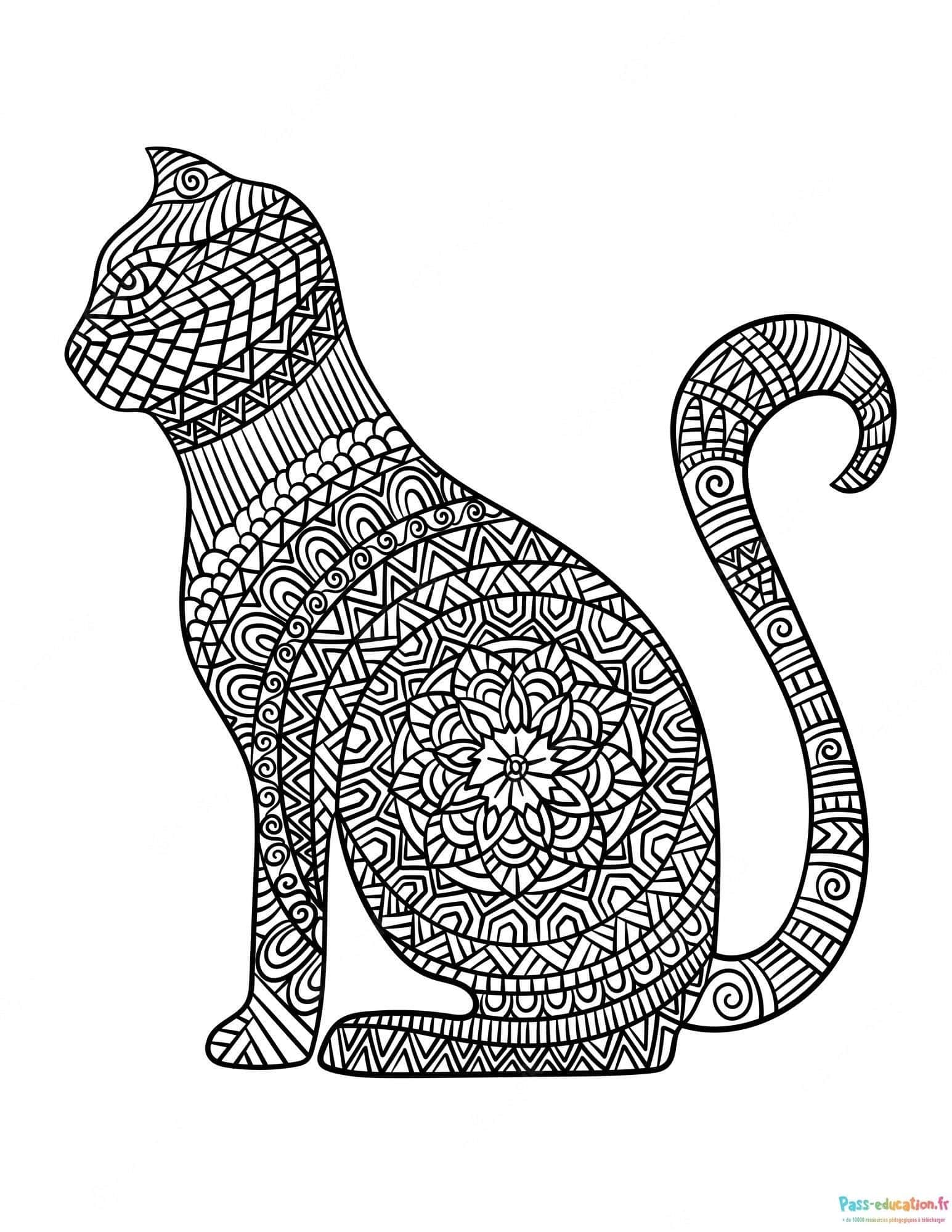 Chat mandala