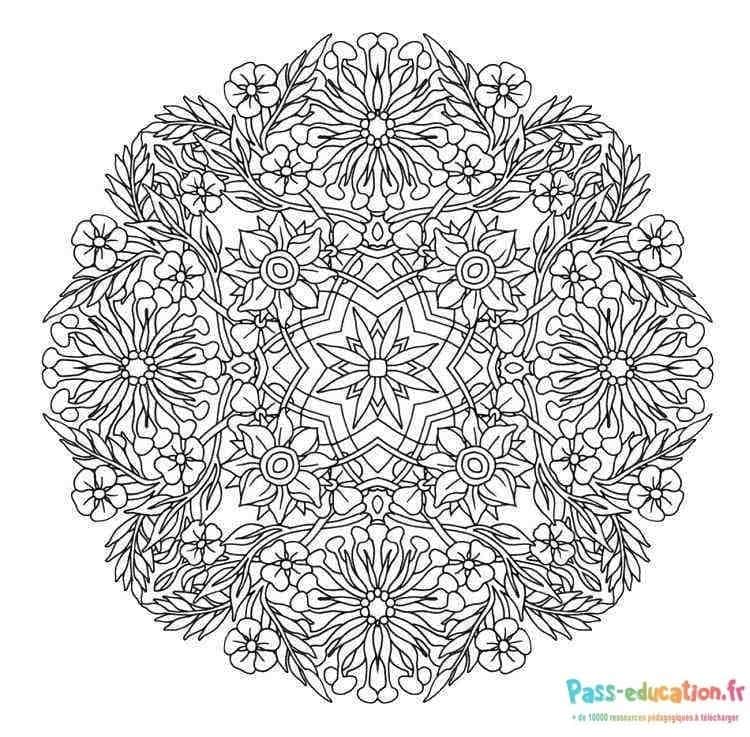 Mandala floral complexe