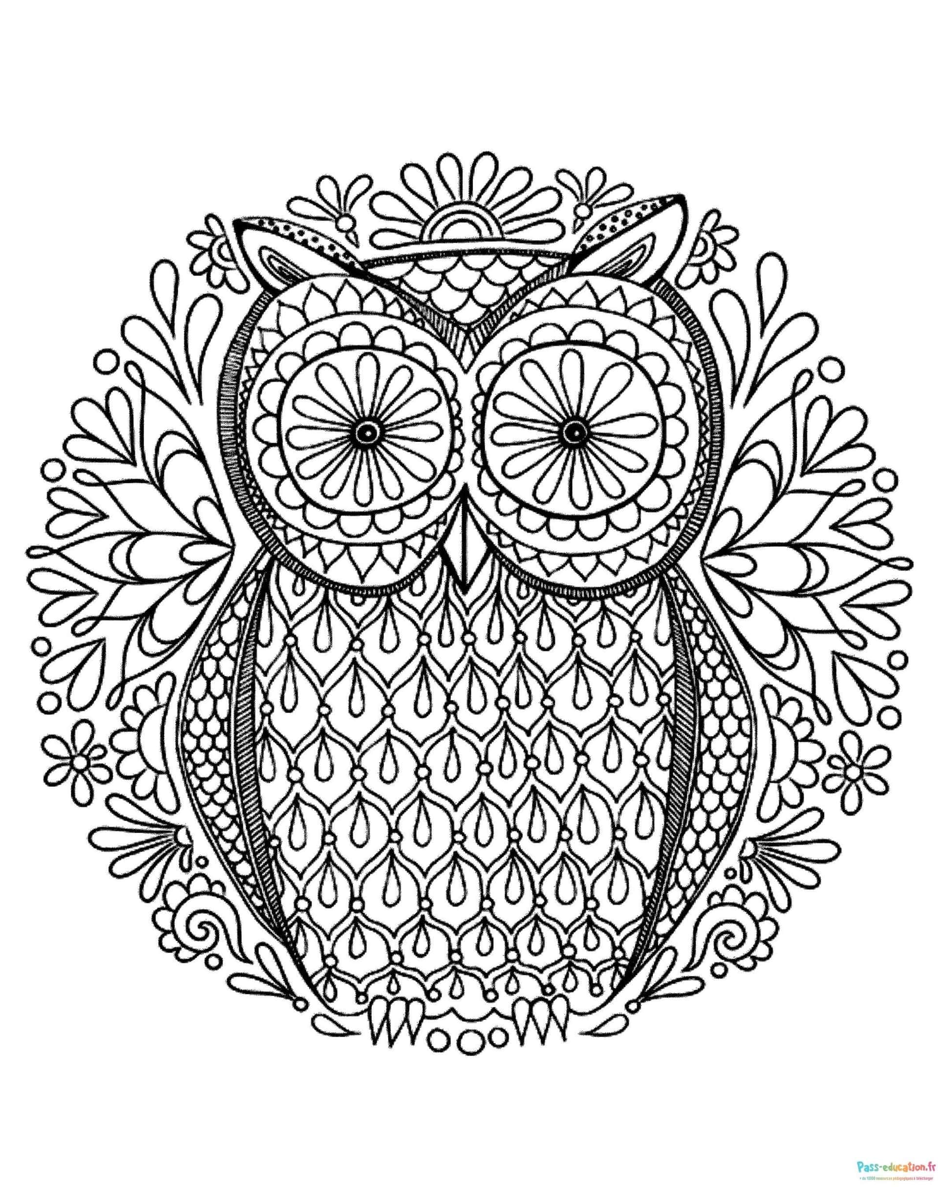 Hibou Mandala