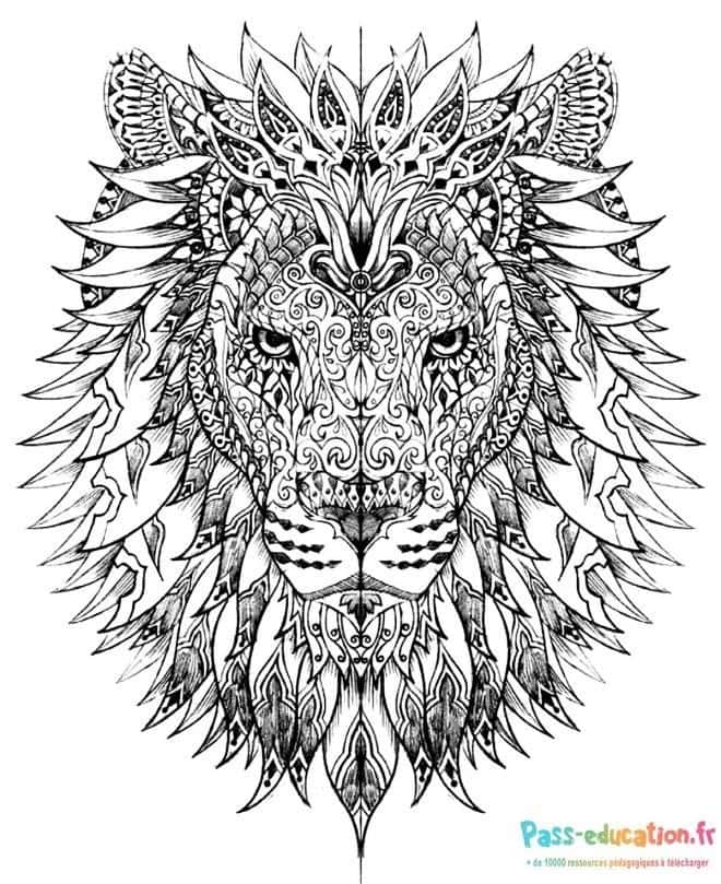 Lion mandala