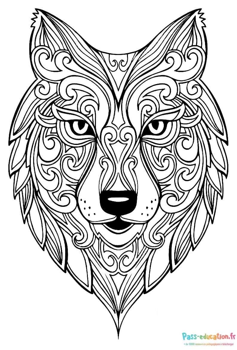 Loup mandala