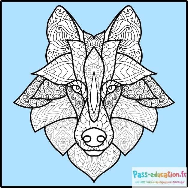 Loup Mandala