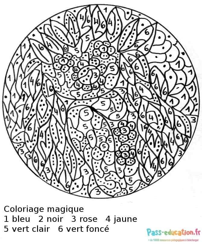 Mandala numéroté