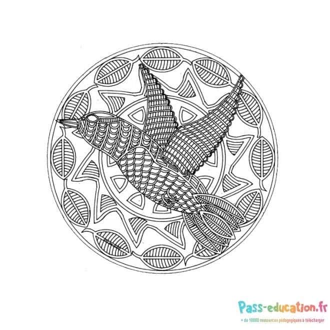 Mandala oiseau volant