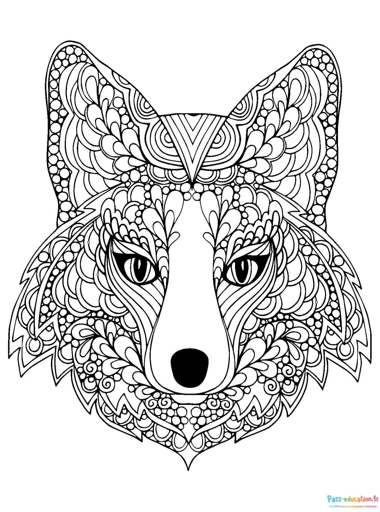 Renard mandala