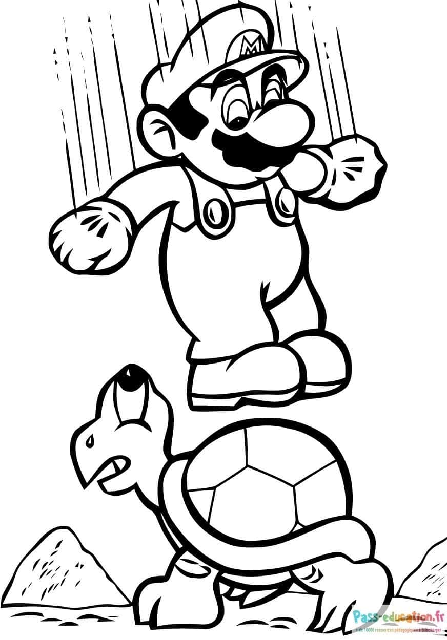 Mario sur Koopa