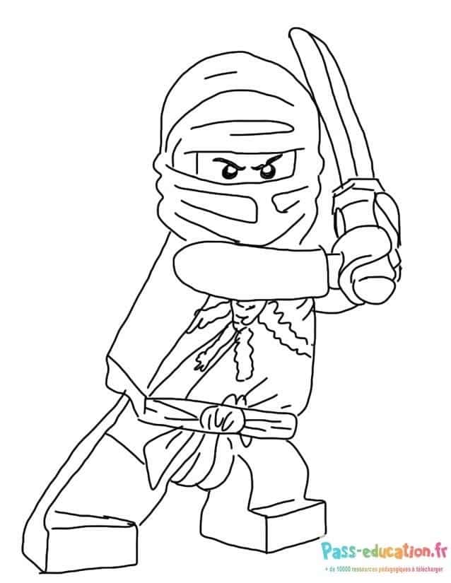 Ninja Lego