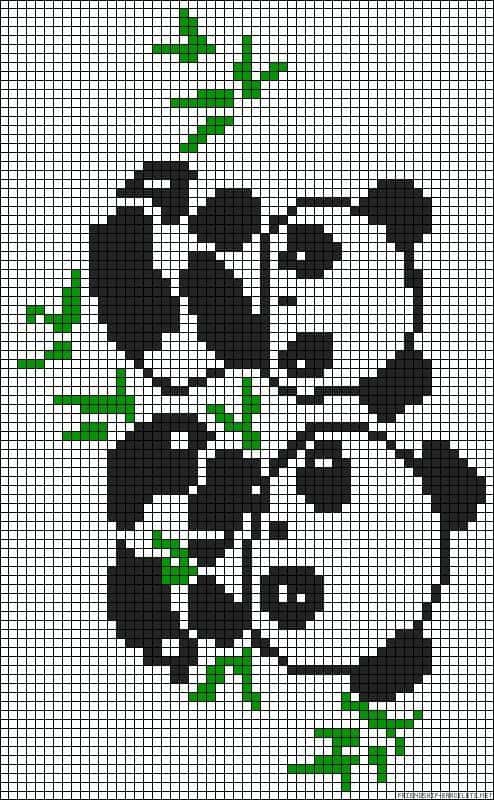 Panda grignotant