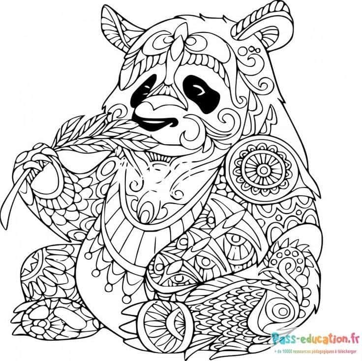 Panda mandala