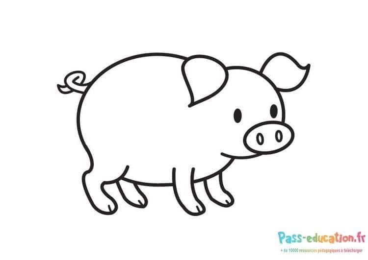 Petit cochon mignon gratuit à imprimer