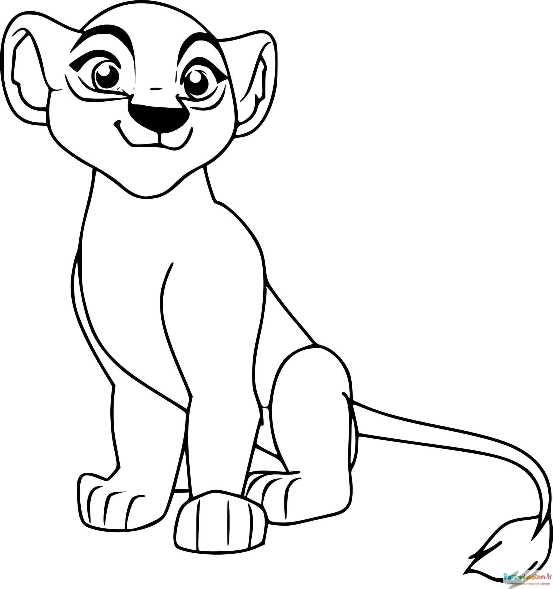 Petit lion