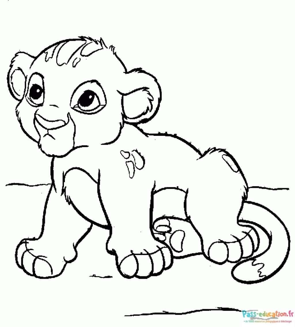 Petit lion