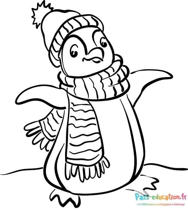 Pingouin hiver