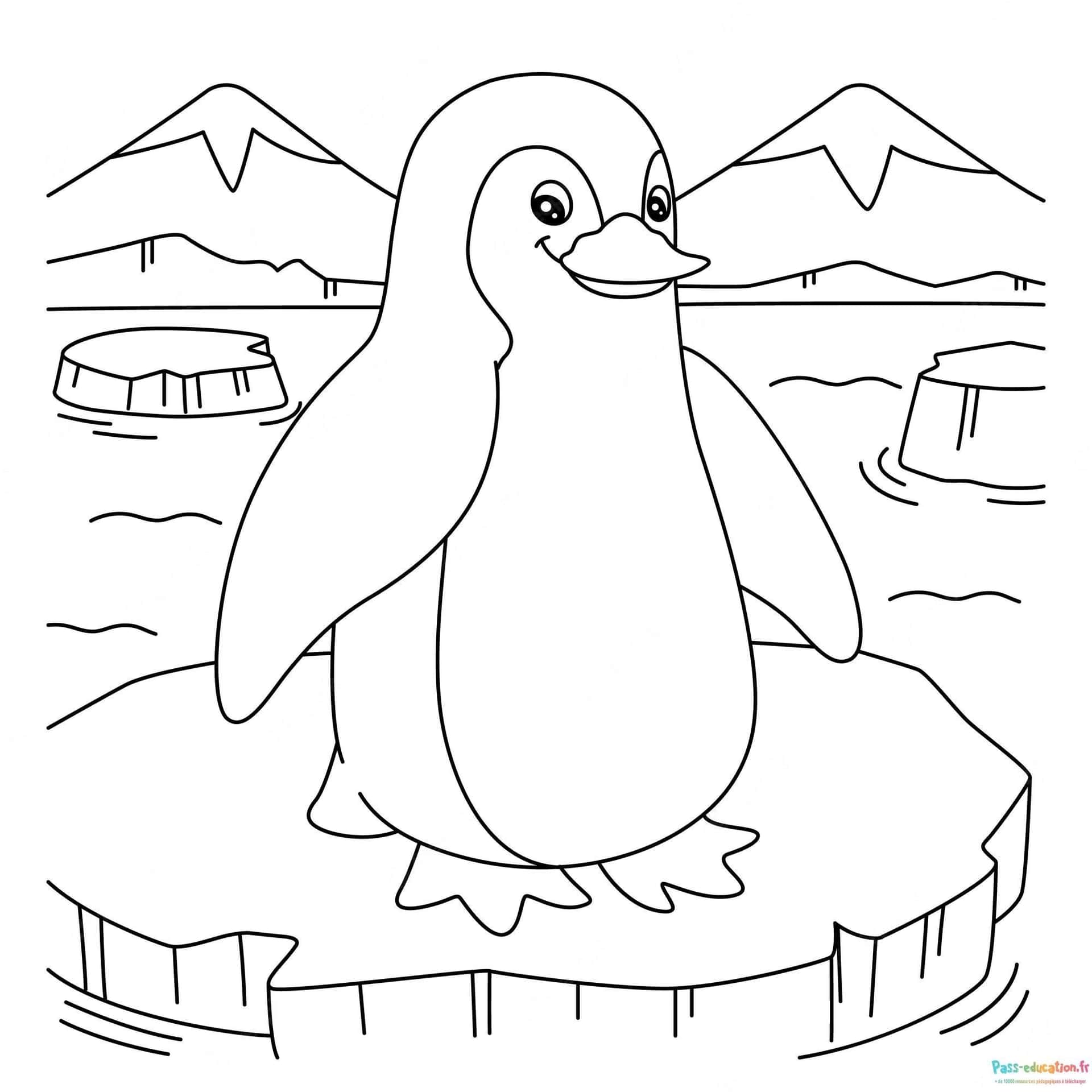 Pingouin sur glace