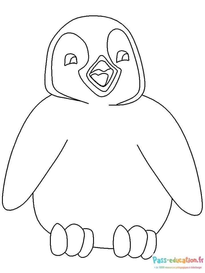 Pingouin souriant