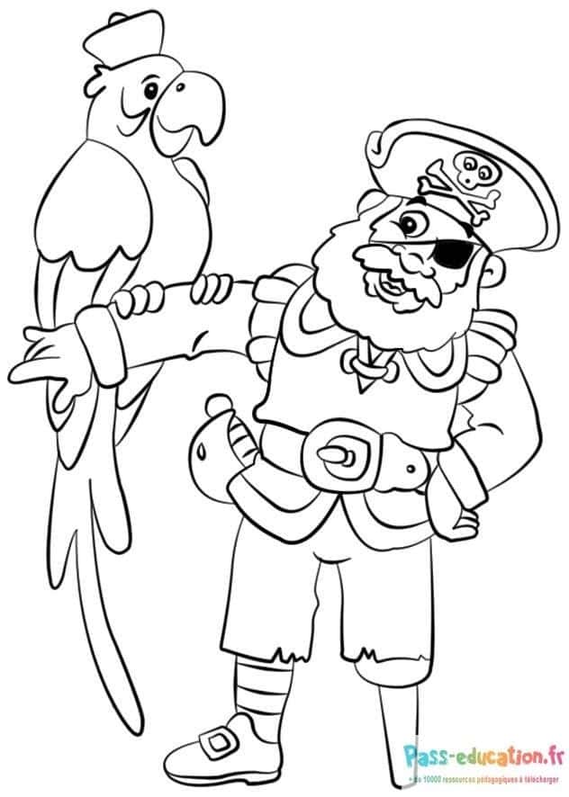 Pirate et perroquet