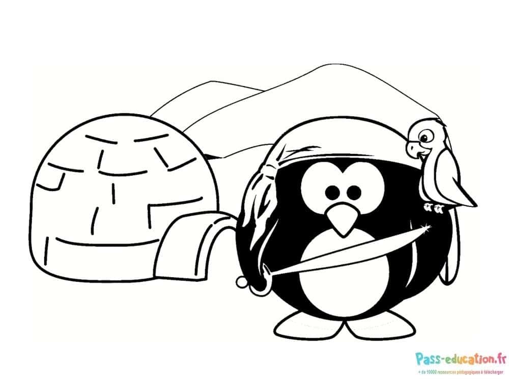 Pirate Pingouin