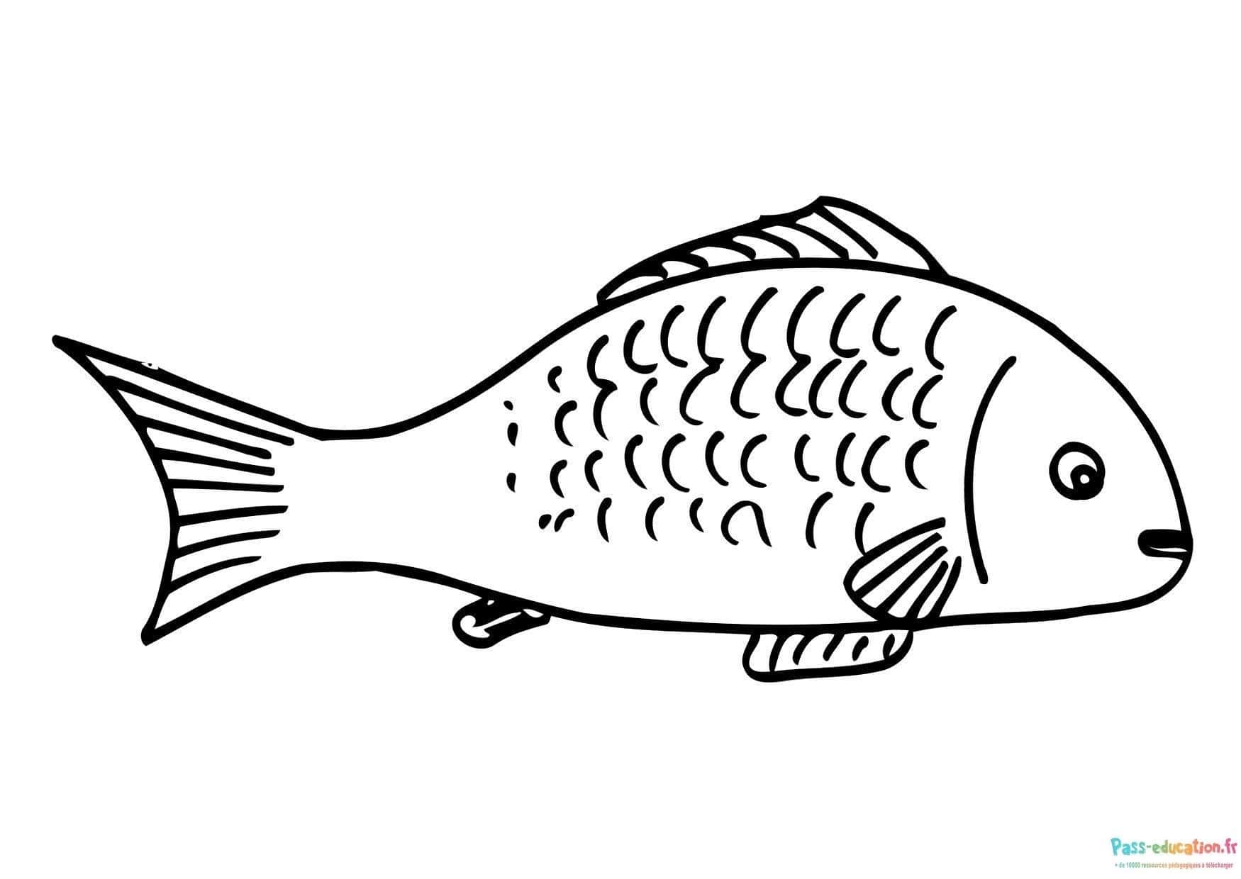 Poisson à décorer