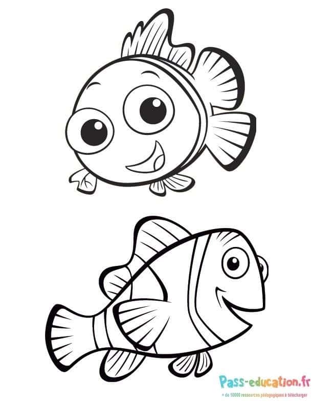 Poissons de Nemo